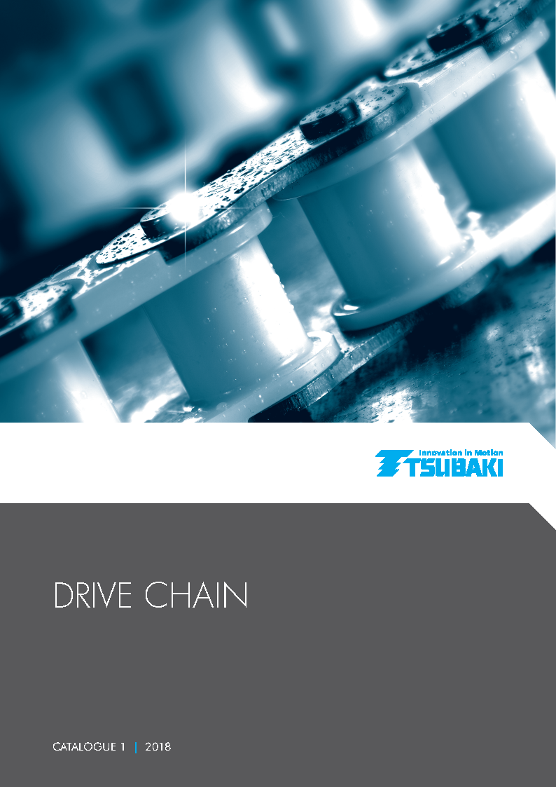 Capa Drive Chain